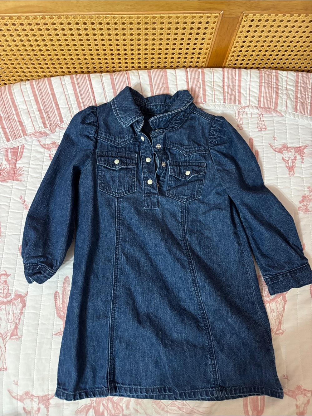 GAP Indigo Denim Button-Front Long-Sleeve Dress for Kids